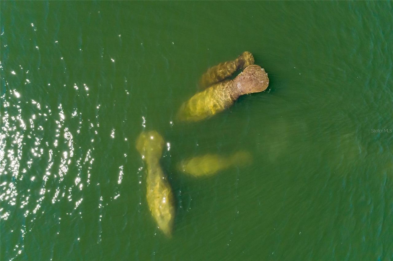 1985 Michigan Avenue Ne, Saint Petersburg, FL 33703 Photo