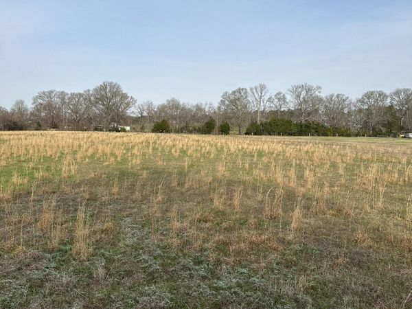 Ms-469 , Florence, MS 39073