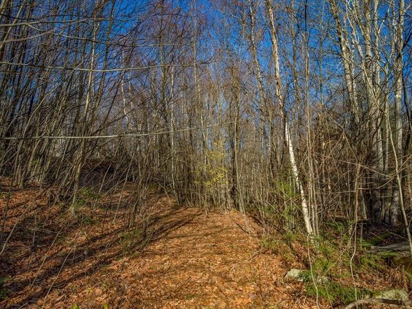 0 Goose Pond Road, Tyringham, MA 01264
