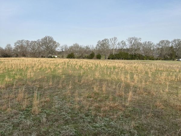 Ms-469 , Florence, MS 39073