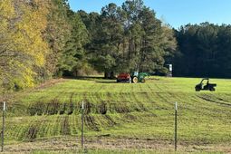 637 Belfast Road  photo 4