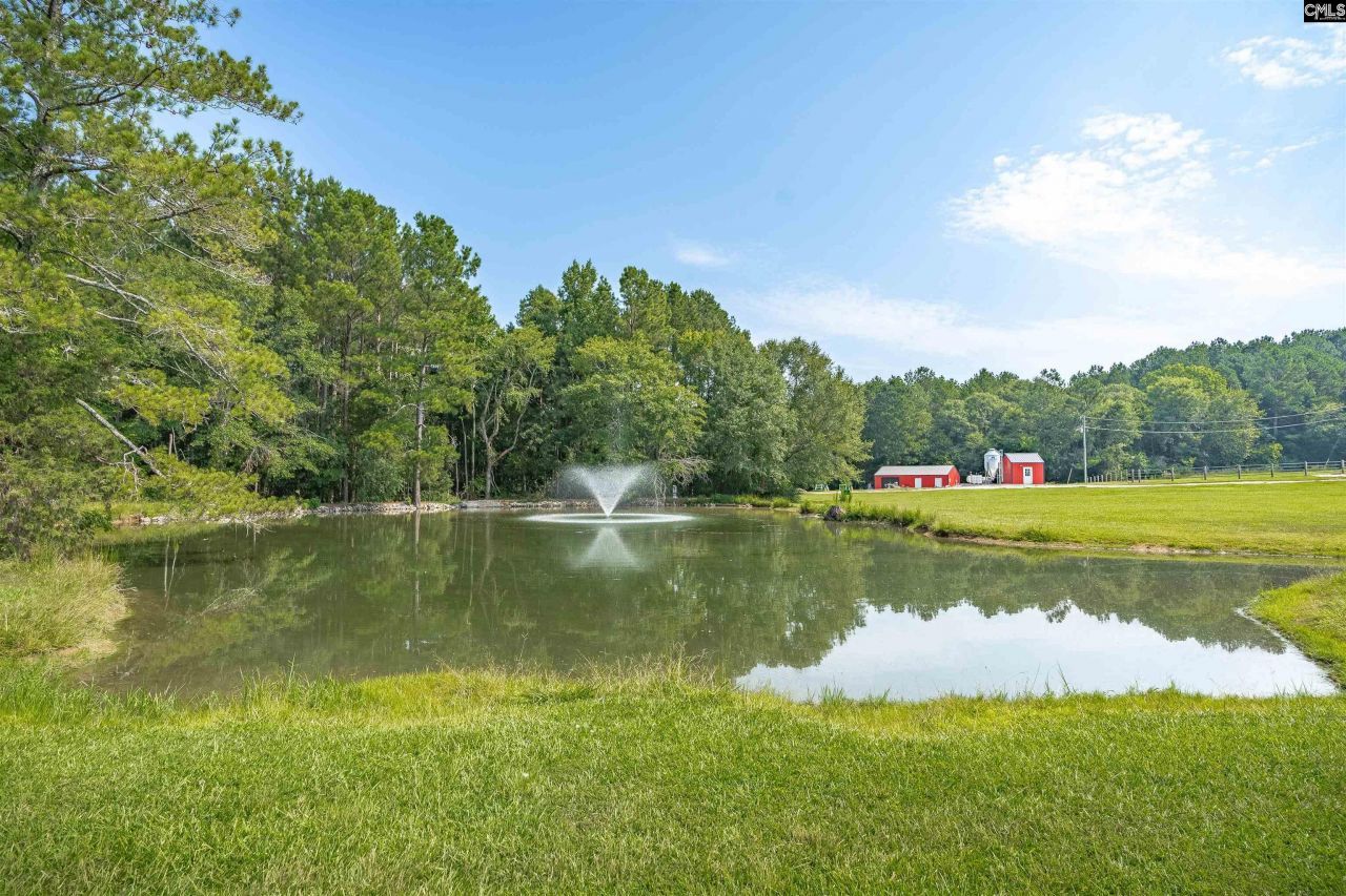 637 Belfast Road Photo 28