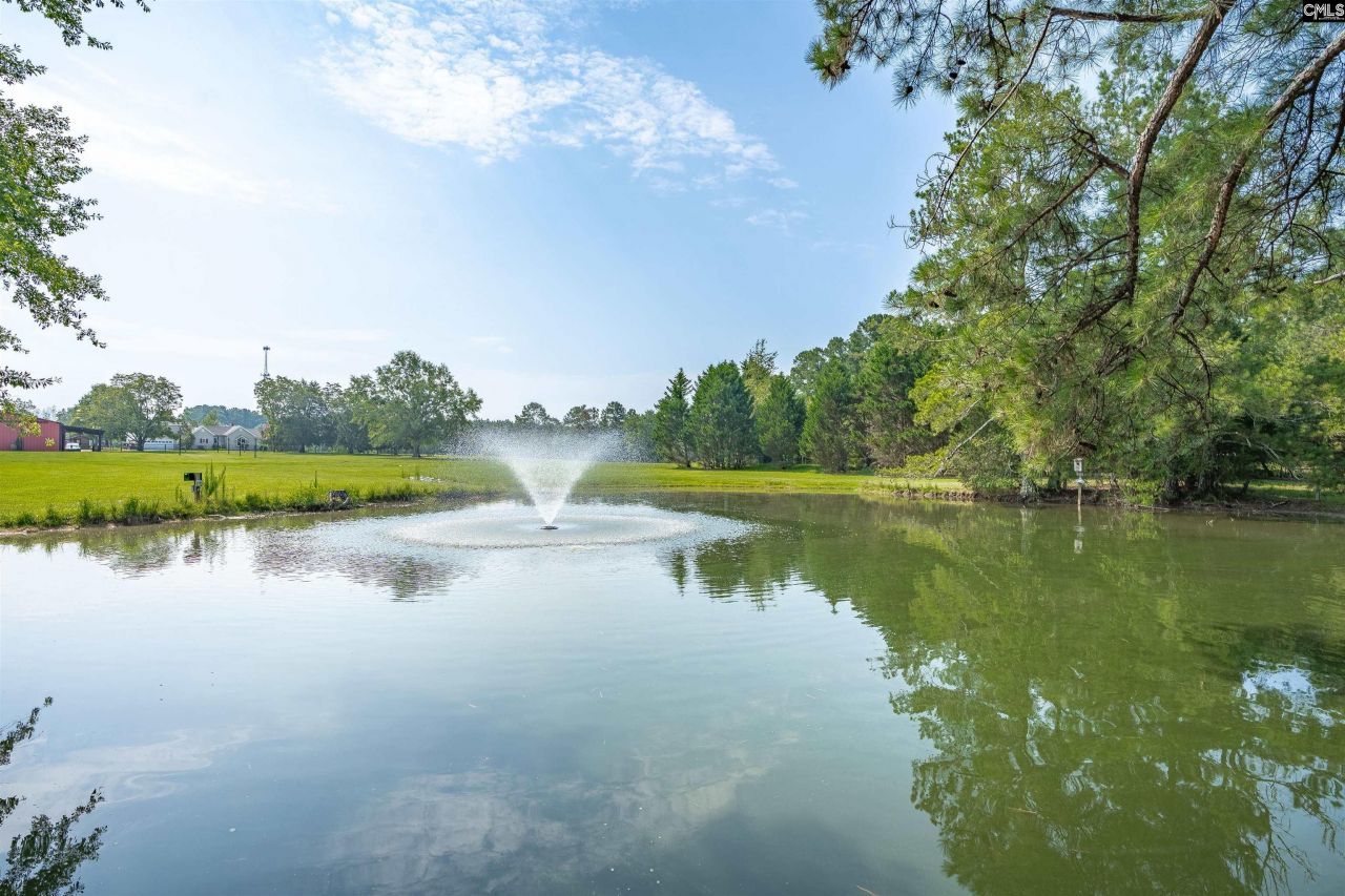 637 Belfast Road  Photo 29