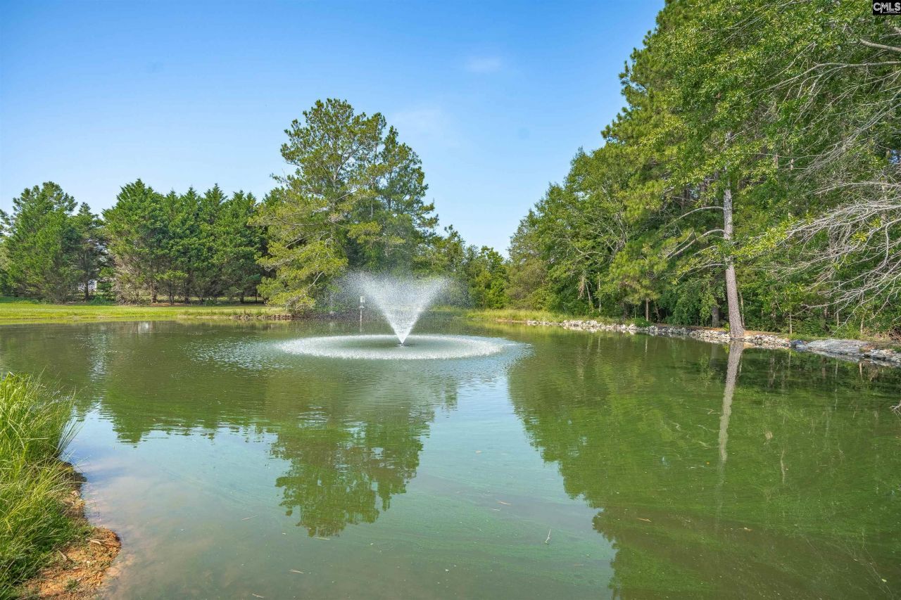 637 Belfast Road  Photo 4