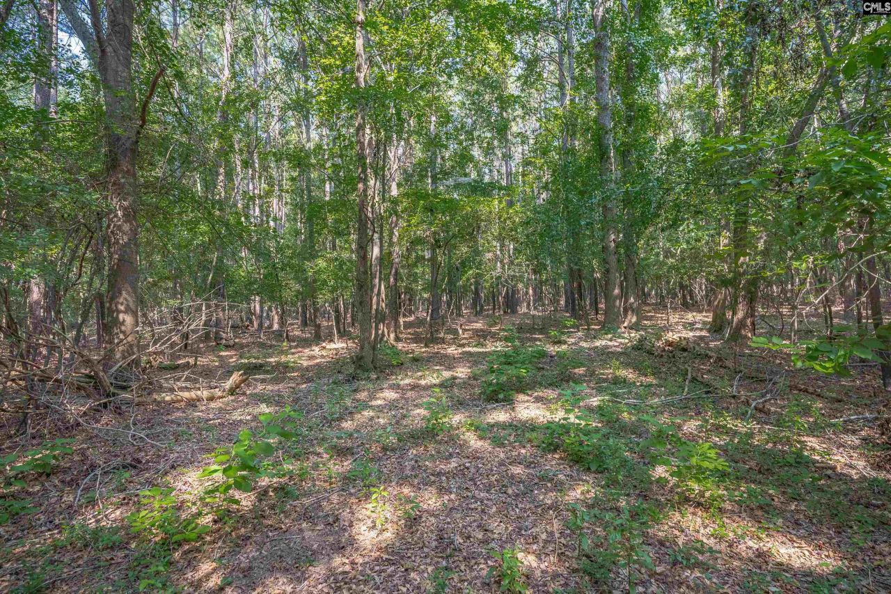 637 Belfast Road Photo 34