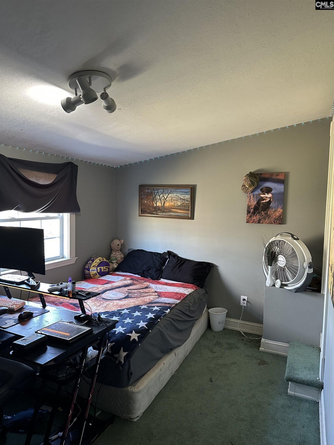 637 Belfast Road  Photo 47