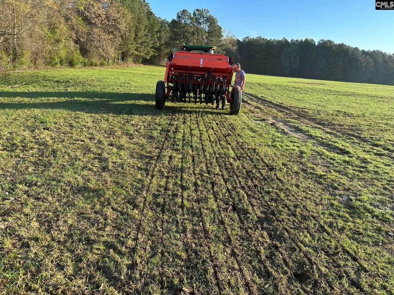 637 Belfast Road Photo 73