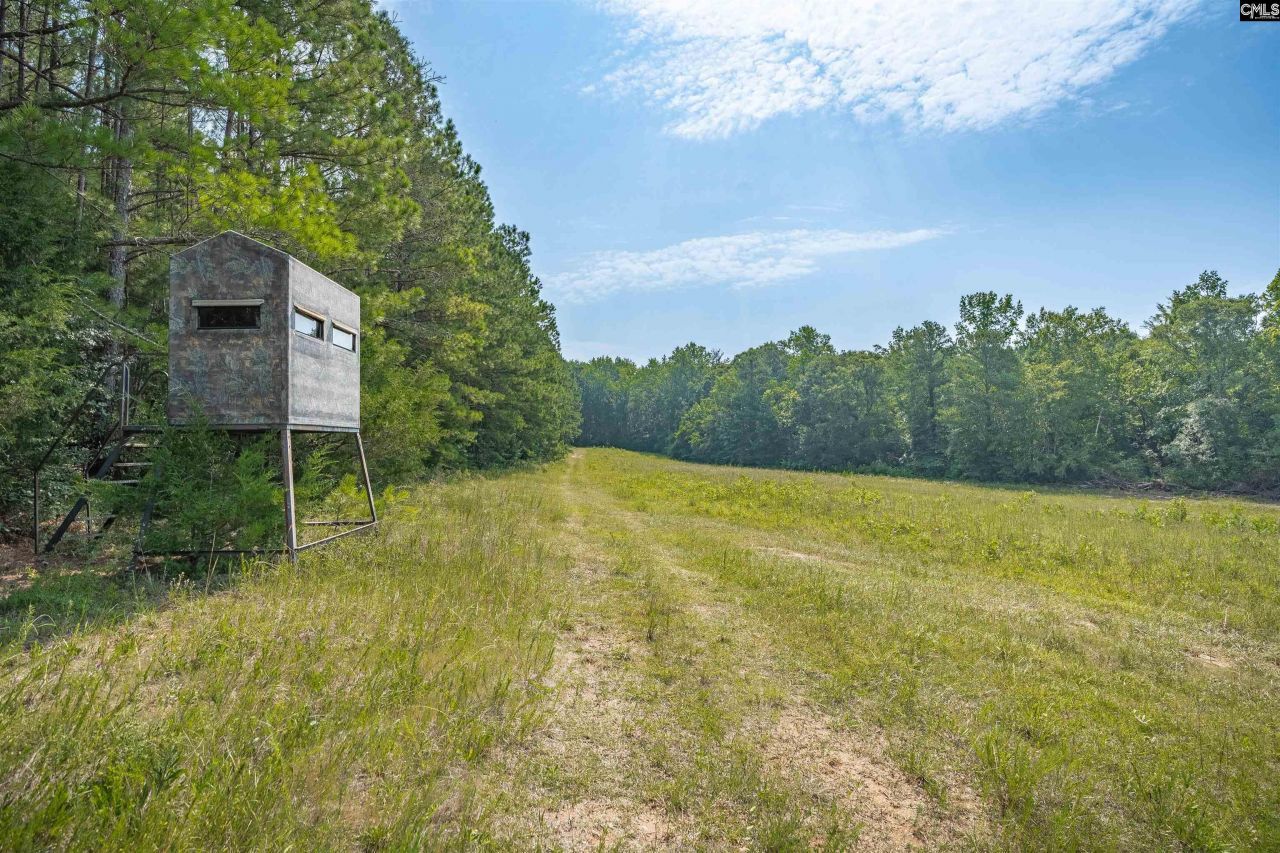 637 Belfast Road  Photo 9