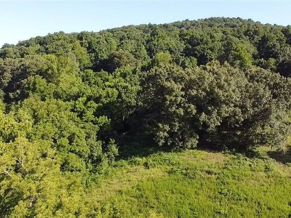 70 acres 412 Highway , Osage, AR 72638