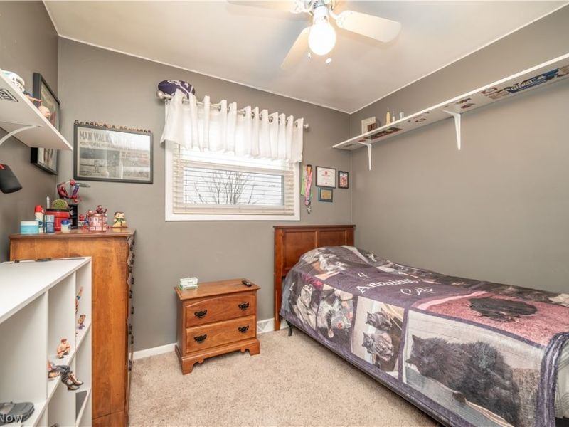 1503 Gypsy Lane, Niles, OH 44446 Photo 19