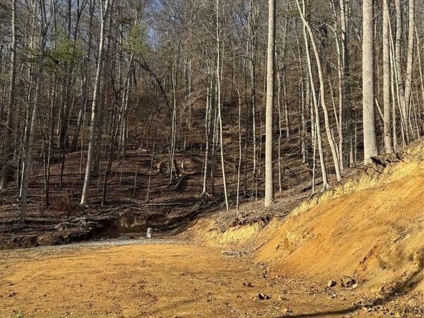 890 Fisher Branch Road, Marshall, NC 28753