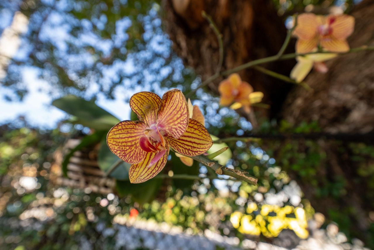 154 Cutthroat Drive, Cudjoe, FL 33042 Photo