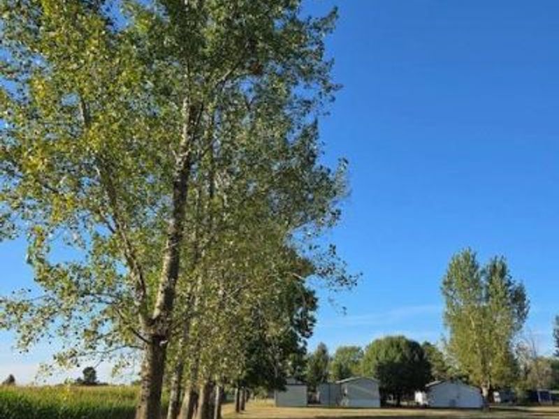 10823 Noble, Union Twp, OH 45159 Photo 38