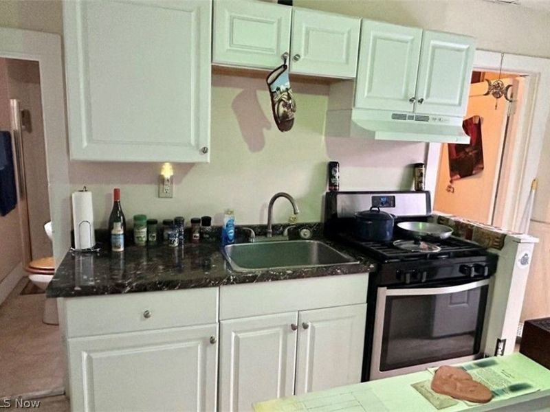 13210 Carrington Avenue, Cleveland, OH 44135 Photo 5