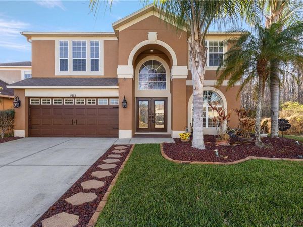 17953 CUNNINGHAM COURT , LAND O LAKES, FL 34638