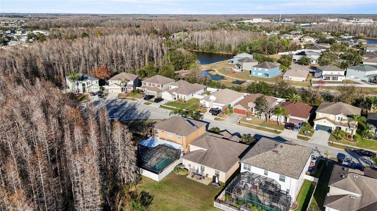 17953 Cunningham Court, Land O Lakes, FL 34638 Photo