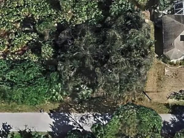 8536 Raoul AVE , NORTH PORT, FL 34291