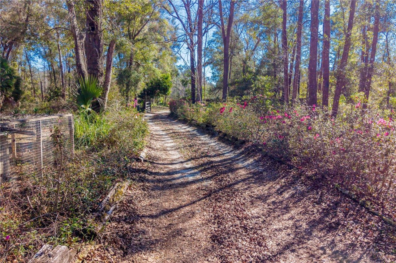 383 NE 355th Avenue, Old Town, FL 32680 Photo