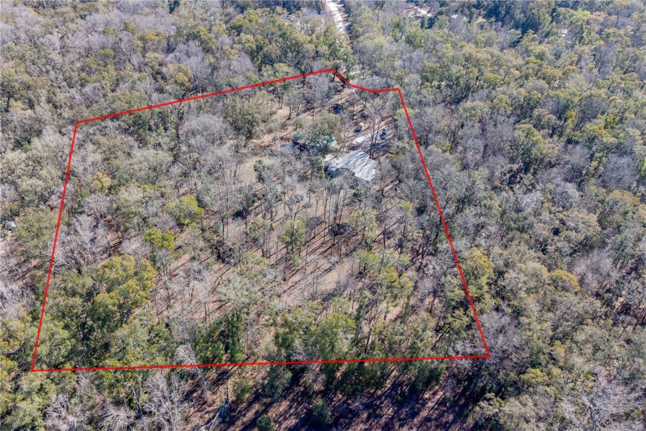 383 NE 355th Avenue, Old Town, FL 32680 Photo