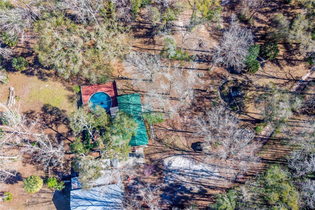 383 NE 355th Avenue, Old Town, FL 32680 Photo