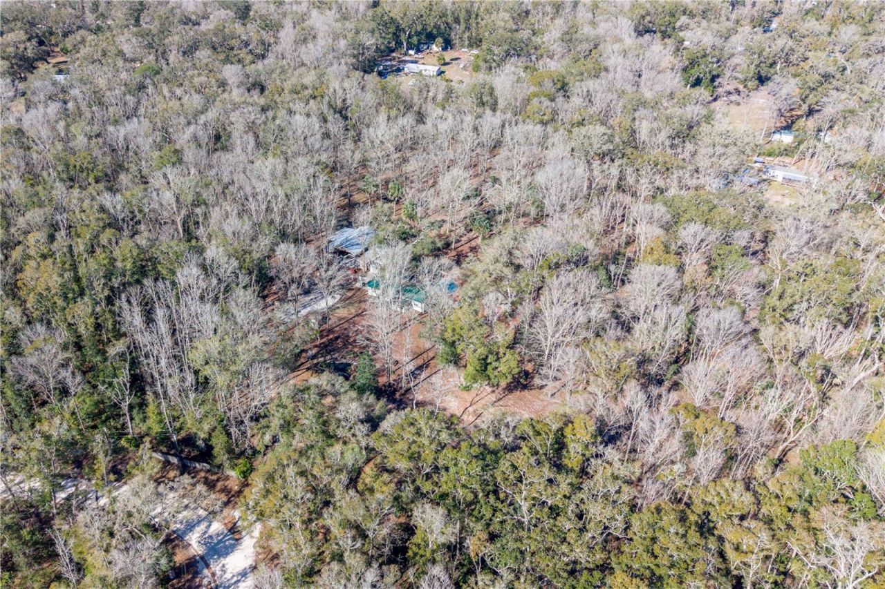 383 NE 355th Avenue, Old Town, FL 32680 Photo