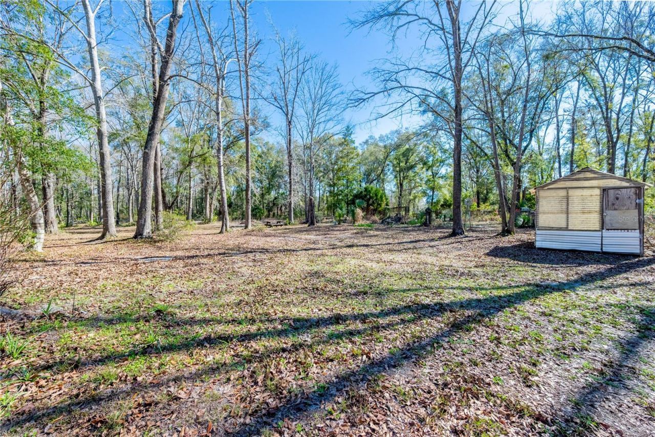 383 NE 355th Avenue, Old Town, FL 32680 Photo