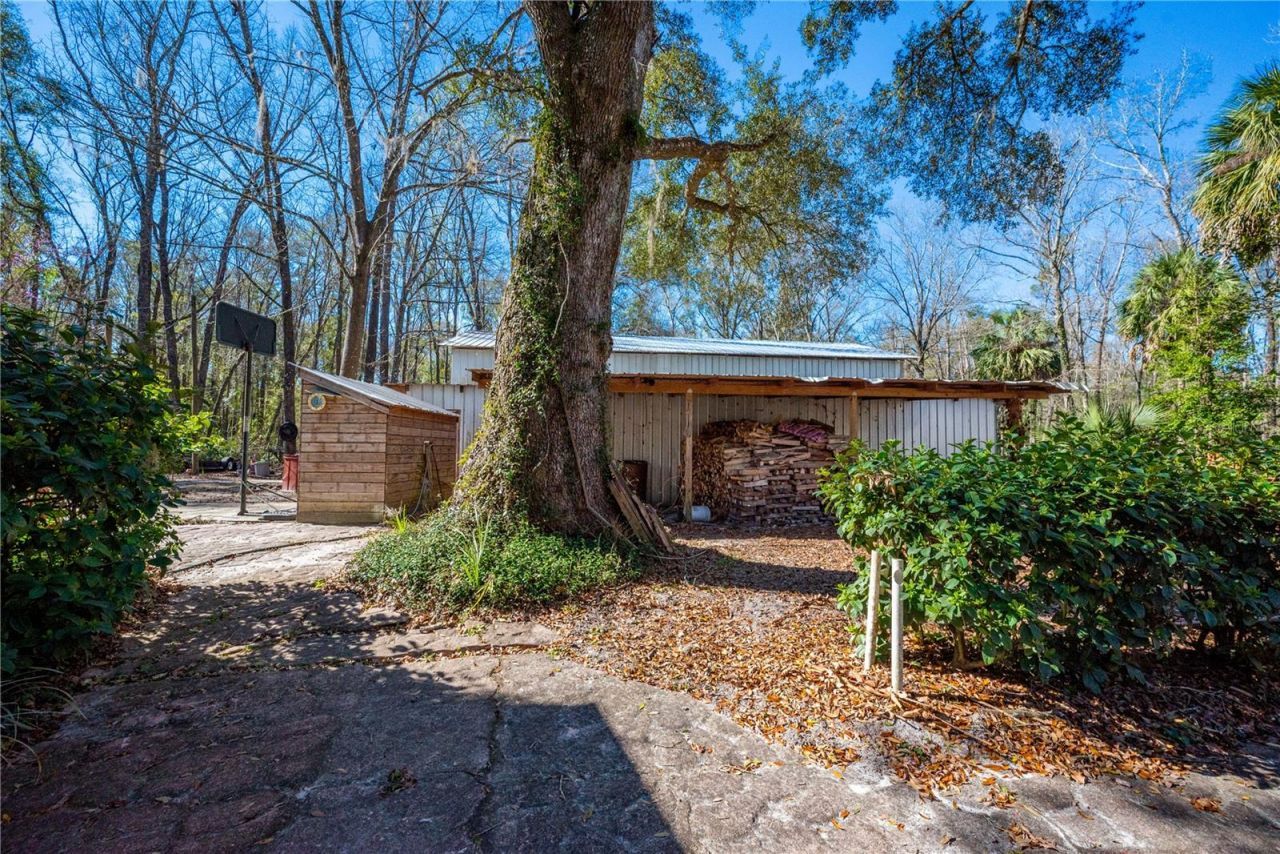 383 NE 355th Avenue, Old Town, FL 32680 Photo