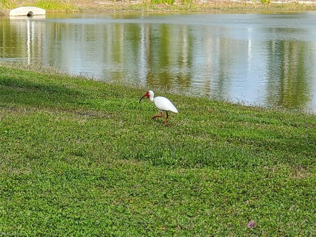 5279 Cypress Trail Resort Cir, Fort Myers, FL 33905 Photo