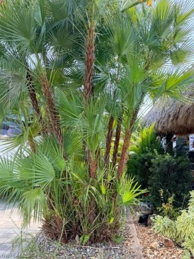 5279 Cypress Trail Resort Cir, Fort Myers, FL 33905 Photo