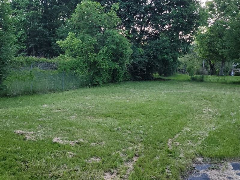 52 E Earle Avenue, Youngstown, OH 44507 Photo 4