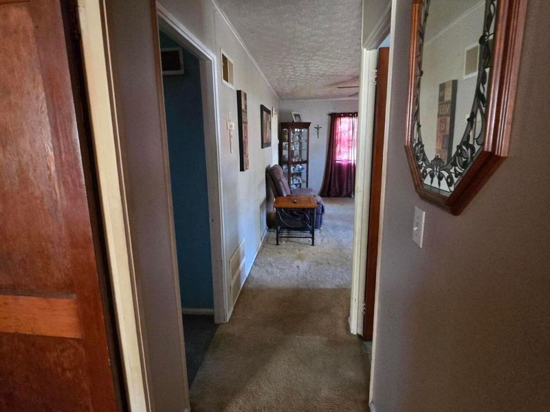 4517 Saint Rita Lane, Columbus, OH 43213 Photo 7