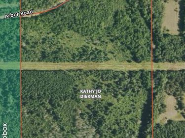 TBD Arbor Road, Park Rapids, MN 56470