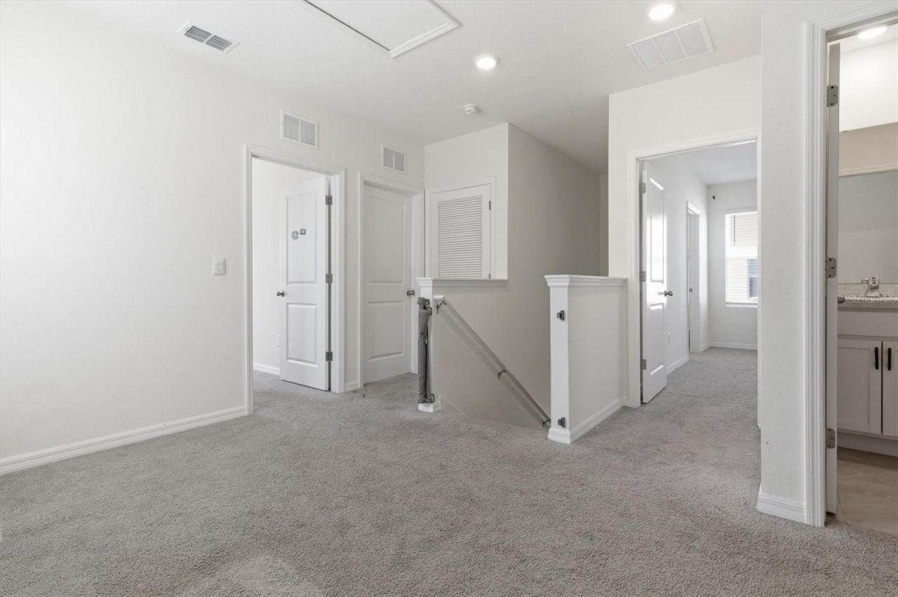 5608 Wandering Willow Drive, Wesley Chapel, FL 33545 Photo