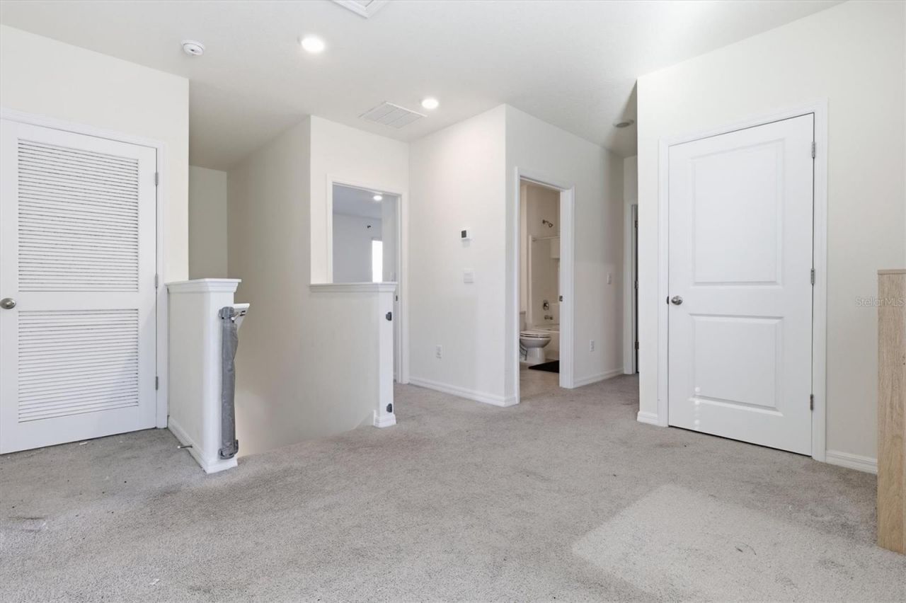 5608 Wandering Willow Drive, Wesley Chapel, FL 33545 Photo