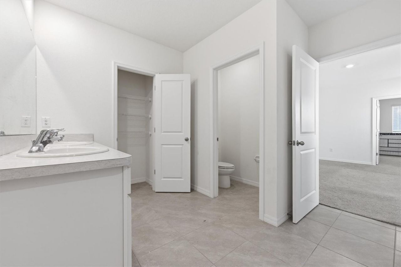 5608 Wandering Willow Drive, Wesley Chapel, FL 33545 Photo