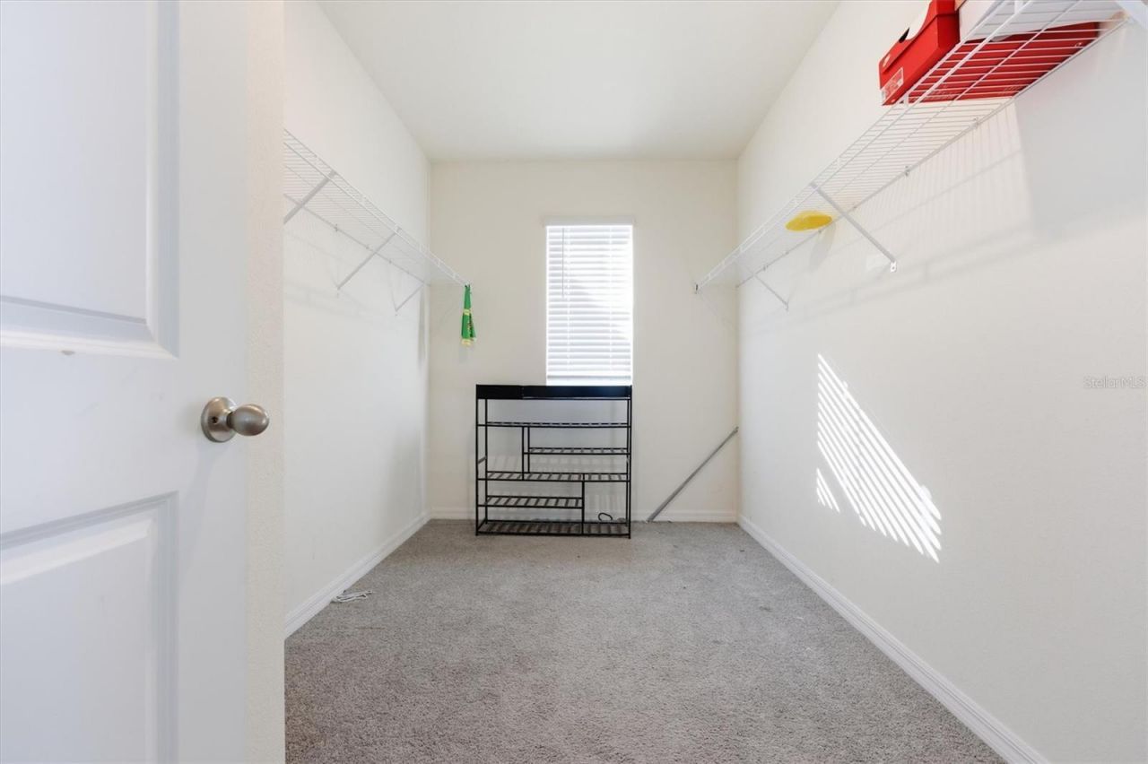 5608 Wandering Willow Drive, Wesley Chapel, FL 33545 Photo
