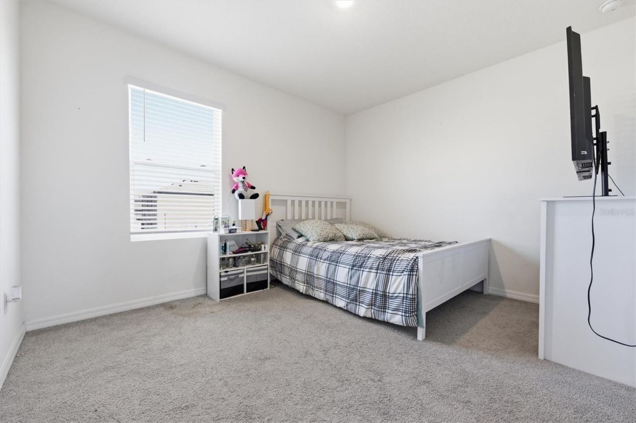 5608 Wandering Willow Drive, Wesley Chapel, FL 33545 Photo