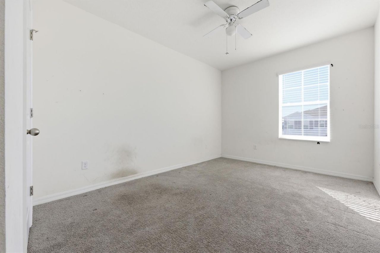 5608 Wandering Willow Drive, Wesley Chapel, FL 33545 Photo