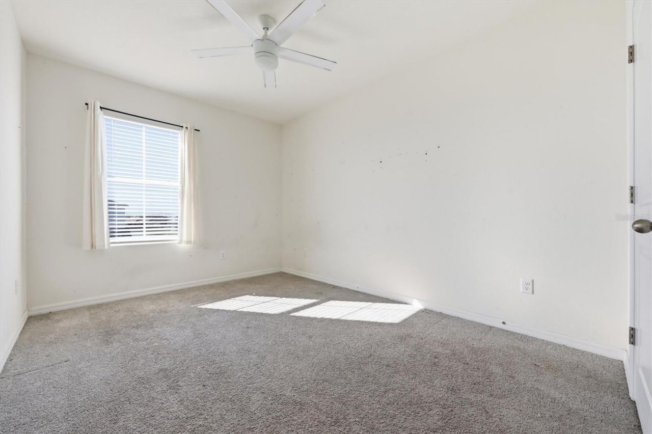 5608 Wandering Willow Drive, Wesley Chapel, FL 33545 Photo