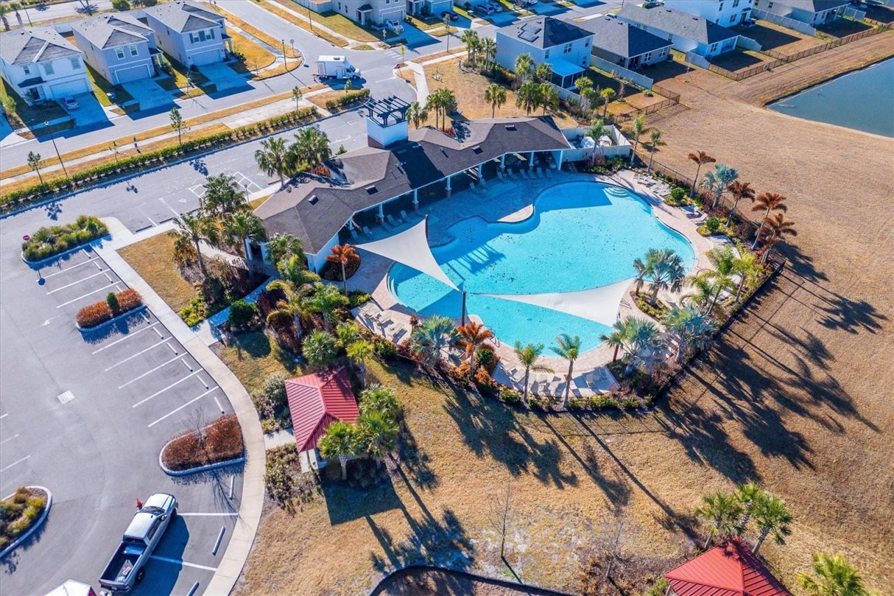 5608 Wandering Willow Drive, Wesley Chapel, FL 33545 Photo
