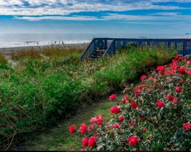 2001 S Ocean Blvd. S  Photo 4