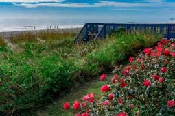 2001 S Ocean Blvd. S  photo 4