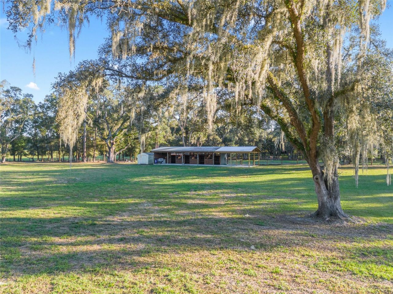 3291 SE 188th Terrace , Morriston, FL 32668 Photo