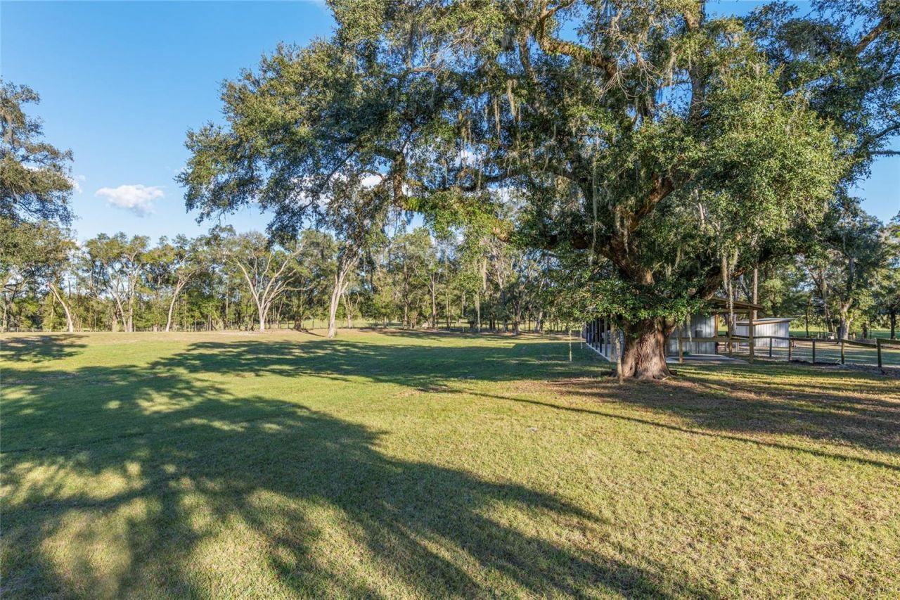 3291 SE 188th Terrace , Morriston, FL 32668 Photo