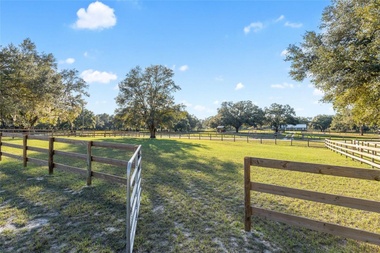 3291 SE 188th Terrace , Morriston, FL 32668 Photo