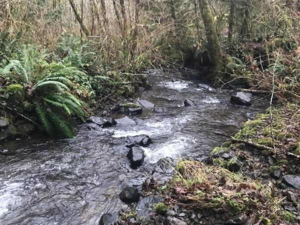 000 Alsea Hwy, Alsea, OR 97324