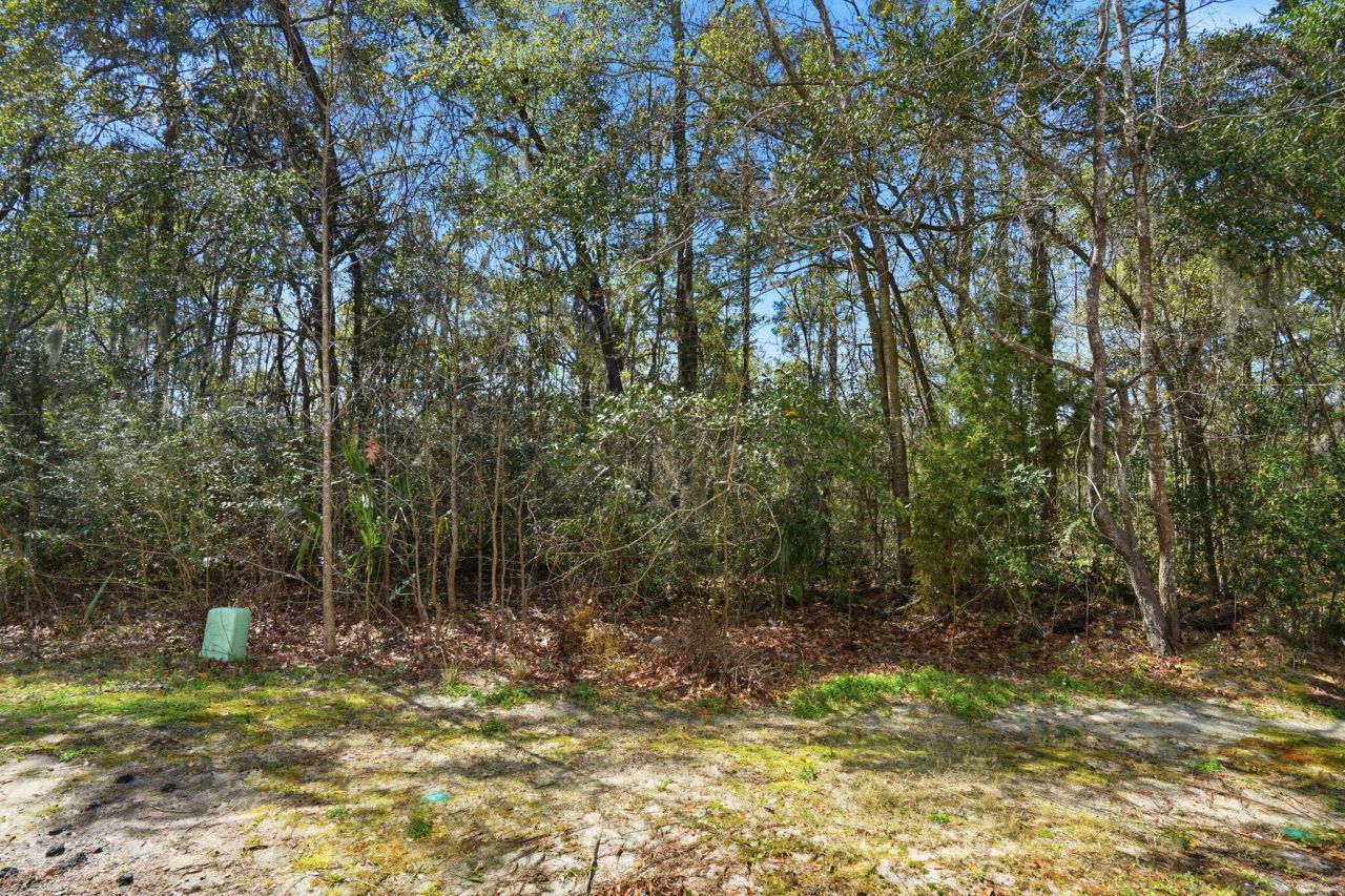 4692 Palm View Circle Photo 25