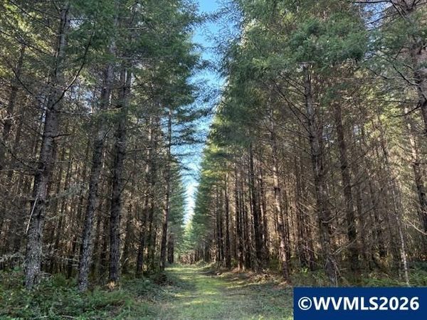 00 SE Wildcat Mountain Dr, Sandy, OR 97055