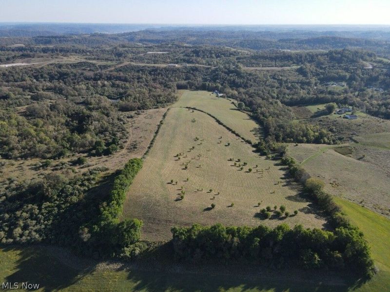 56485 Deep Run Road, Martins Ferry, OH 43935 Photo 25