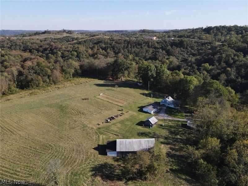 56485 Deep Run Road, Martins Ferry, OH 43935 Photo 26